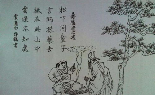 言师采药去的全诗