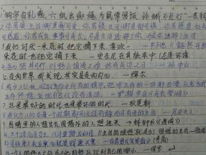 醒能述以文者：用文字评价文学作品的高级能力