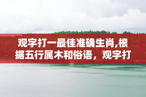 观字打一最佳准确生肖,根据五行属木和俗语，观字打一最佳准确生肖是龙