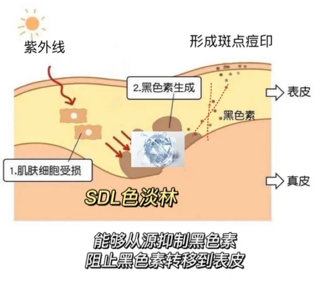 玉兰油深层保湿美白营养水怎么样，大家觉得玉兰油好吗？-图10