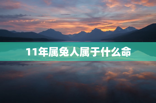 11年属兔人属于什么命 ， 2011兔年是什么兔？