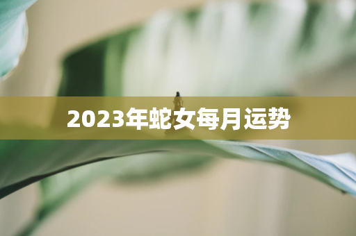 2023年蛇女运势 ， 2023年龙全年完整运气