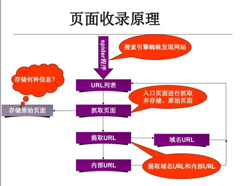 常见的网络推广论坛有哪些？-图2