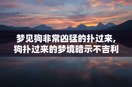 梦见狗非常凶猛的扑过来,狗扑过来的梦境暗示不吉利的预兆