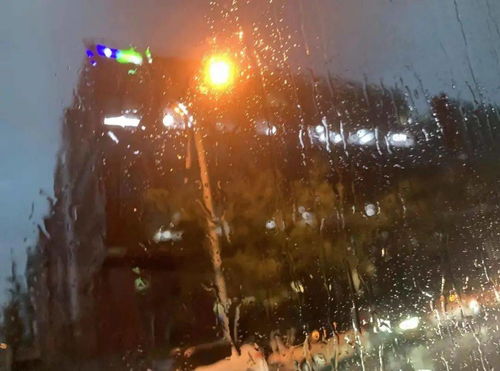 了解“大暴雨吓人视频30秒”及其危险与防范措施