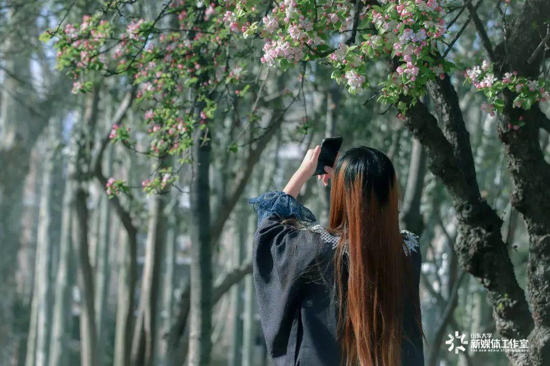 缅怀先烈的歌曲，我中华少年志气高歌词是什么歌-图7