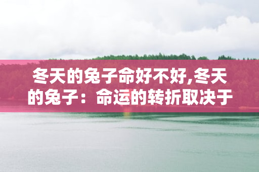 冬天的兔子命好不好,冬天的兔子：命运的转折取决于自身努力和乐观态度！