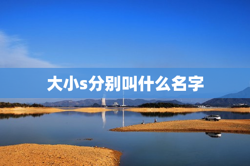 大小s分别叫什么名字