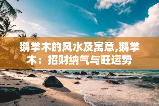 鹅掌木的风水及寓意,鹅掌木：招财纳气与旺运势