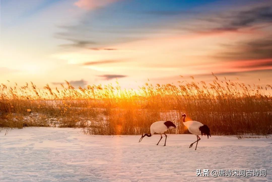 夕阳西下指什么生肖