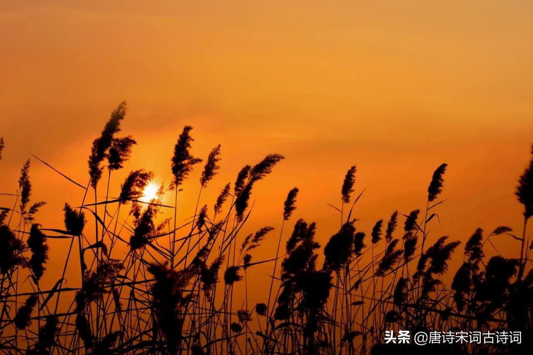 夕阳西下指什么生肖