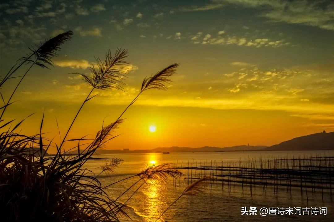 夕阳西下指什么生肖