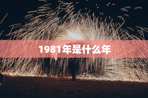 1981年是什么年