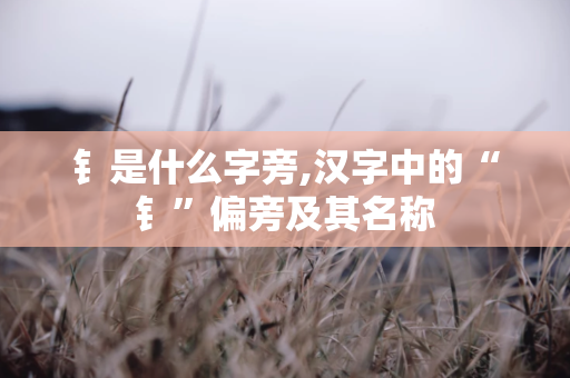 钅是什么字旁,汉字中的“钅”偏旁及其名称