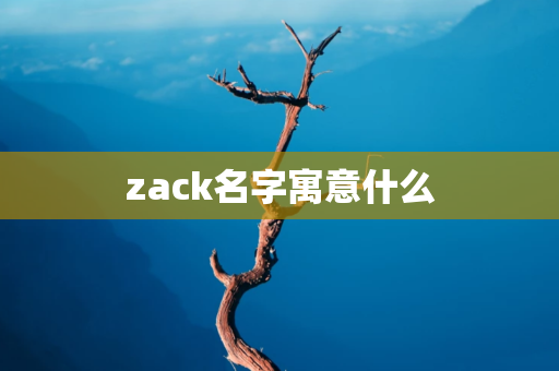 zack名字寓意什么