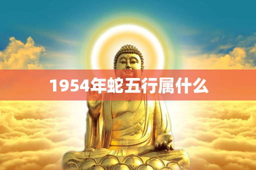 1954年蛇五行属什么 第1张