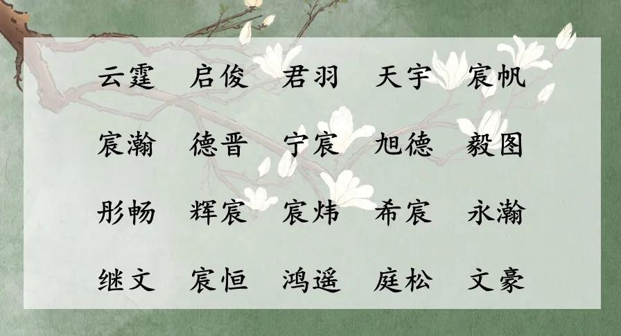 楷名字男孩名字意义(刚出生的男孩起什么名字好听？)