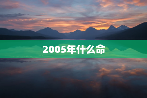 2005年什么命   2005年男孩属鸡是什么命