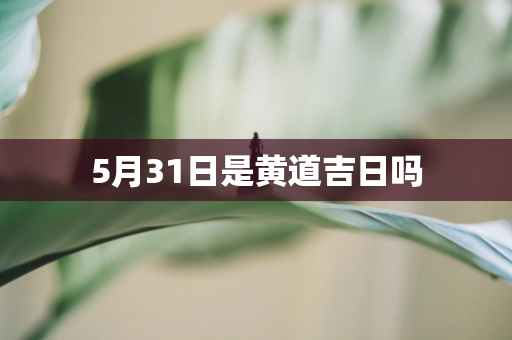 5月31日是黄道吉日吗