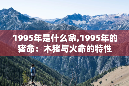 1995年是什么命,1995年的猪命：木猪与火命的特性