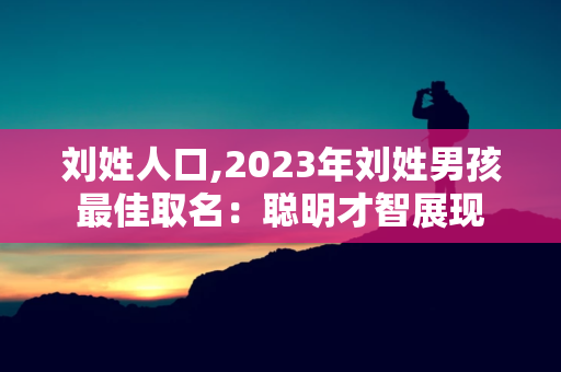 刘姓人口,2024年刘姓男孩最佳取名：聪明才智展现