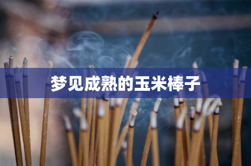 梦见成熟的玉米棒子：预示着你近期的运势一般 第1张