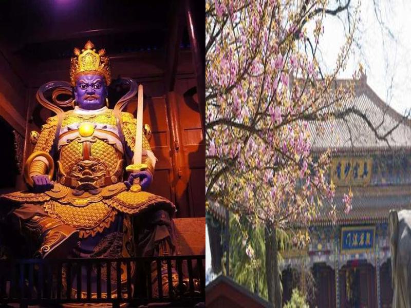 童子命的母亲啥命
