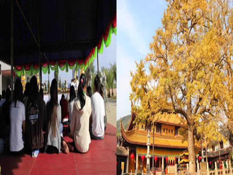 哈尔滨极乐寺超度价位，《探索哈尔滨极乐寺超度的佛门价值》