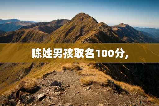 陈姓男孩取名100分