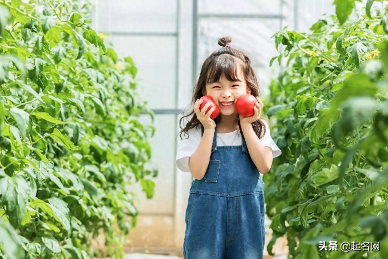 比较仙的女孩名字，小红书超火女生名字仙气？