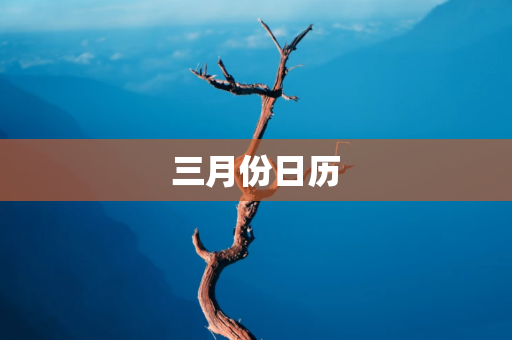 三月份有哪些纪念日啊？ 三月份日历