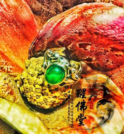 情降有反噬吗